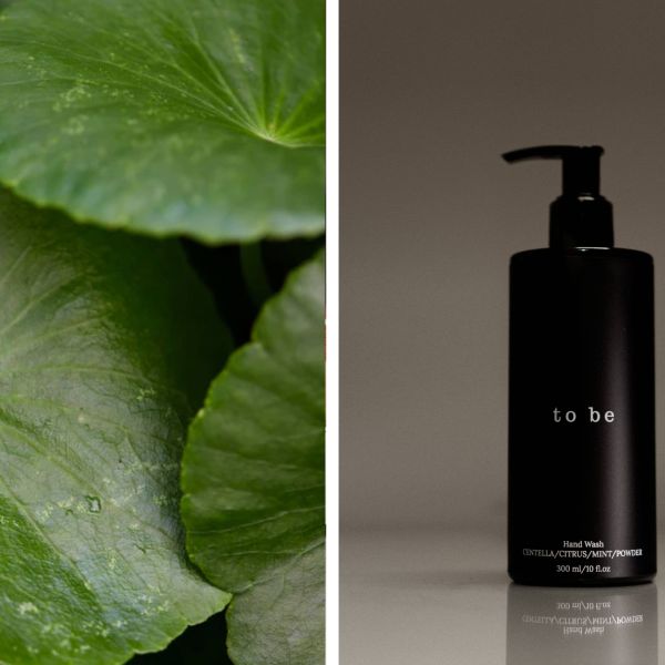 Liquid Hand Wash "to be": Gentle Care for Your Hands