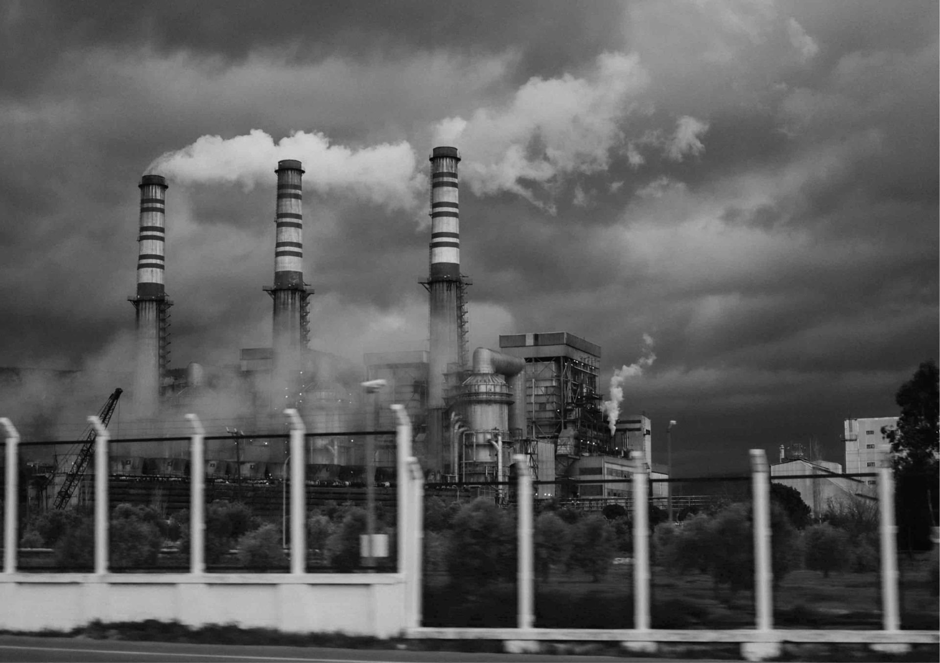 Antioxidants for the skin: a trend, marketing, or real protection?