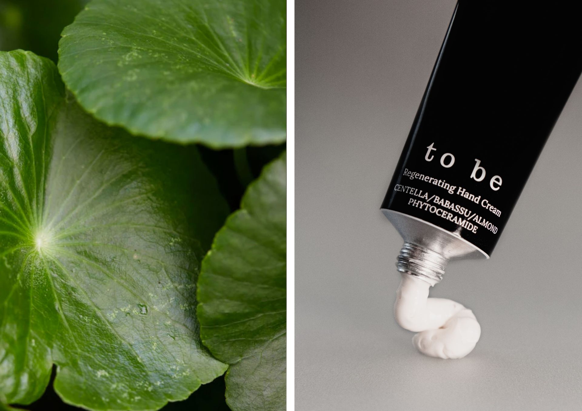 Why does skin feel “tired” — and how to help it: ingredients that work Why does skin feel “tired” — and how to help it: ingredients that work