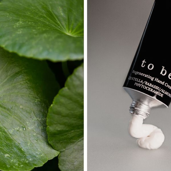 Why does skin feel “tired” — and how to help it: ingredients that work