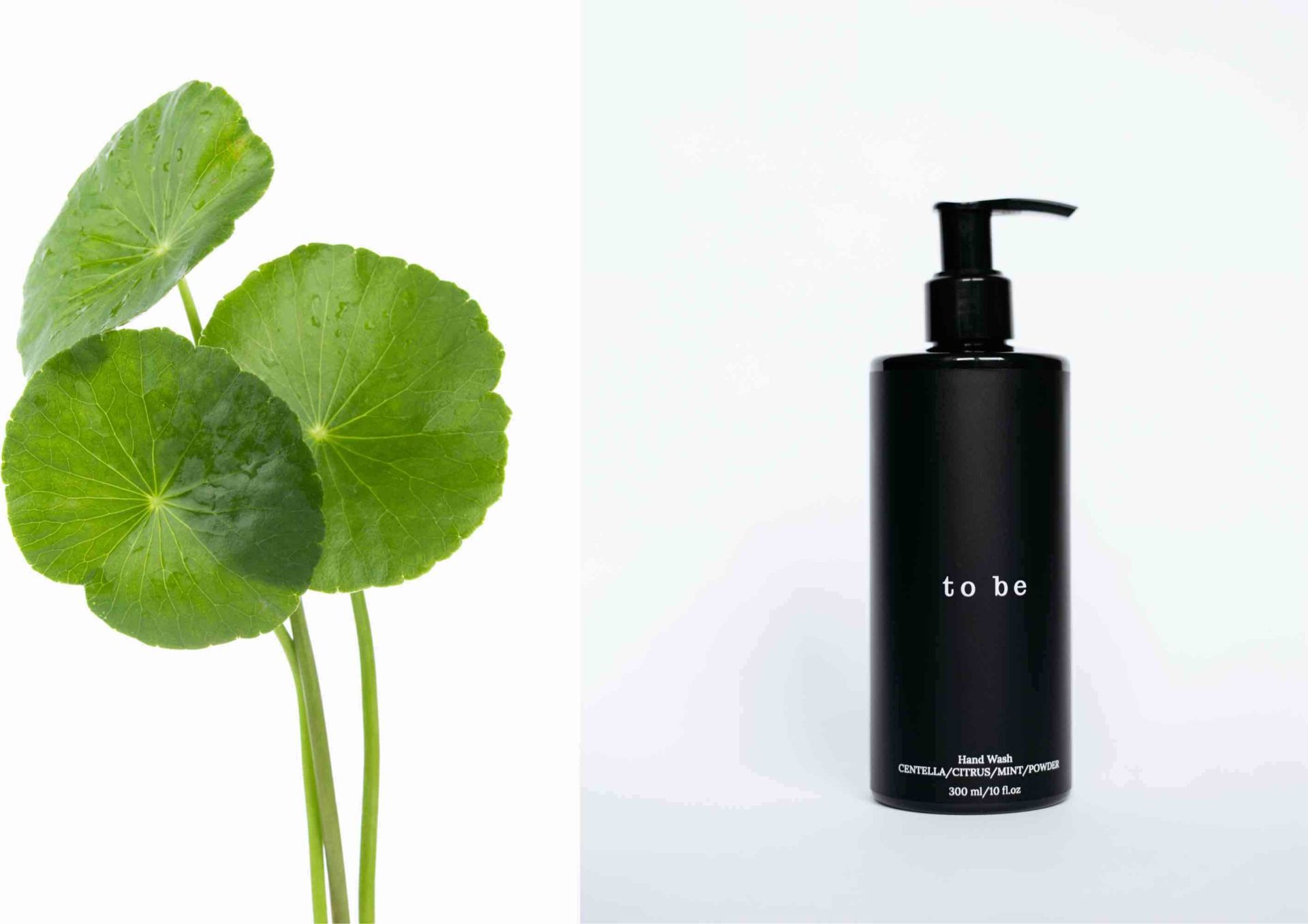 A Morning of Harmony With Your Skin: 5 Steps to a Daily Healthy Glow