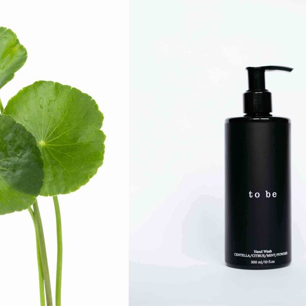 A Morning of Harmony With Your Skin: 5 Steps to a Daily Healthy Glow
