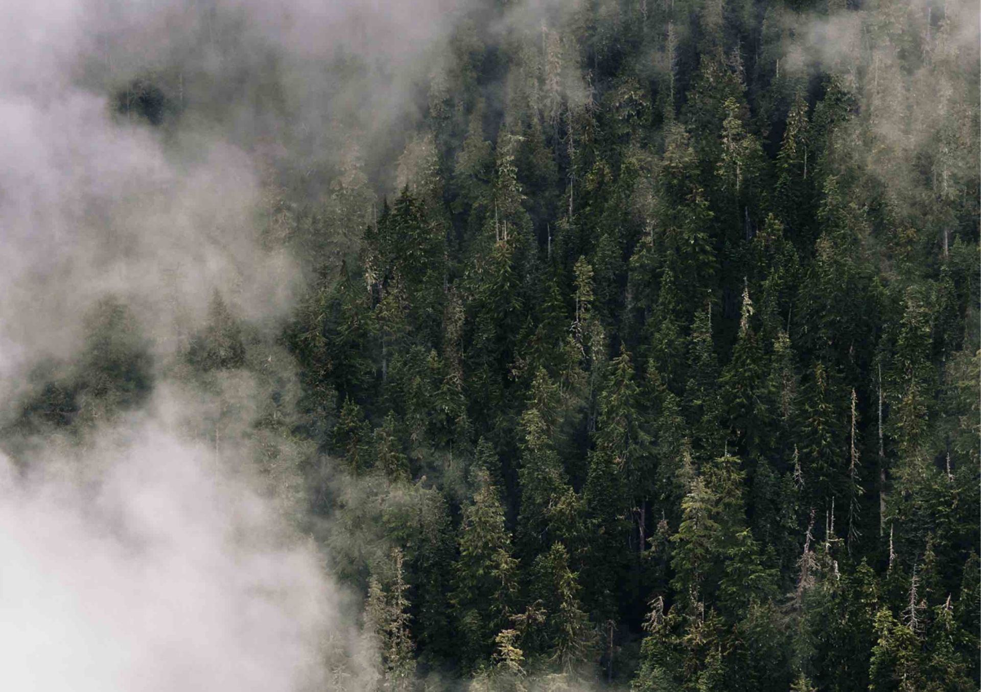 Як захистити шкіру рук узимку: новий крем «to be» та повна рутина догляду
