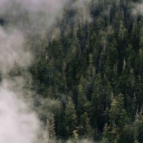 Як захистити шкіру рук узимку: новий крем «to be» та повна рутина догляду